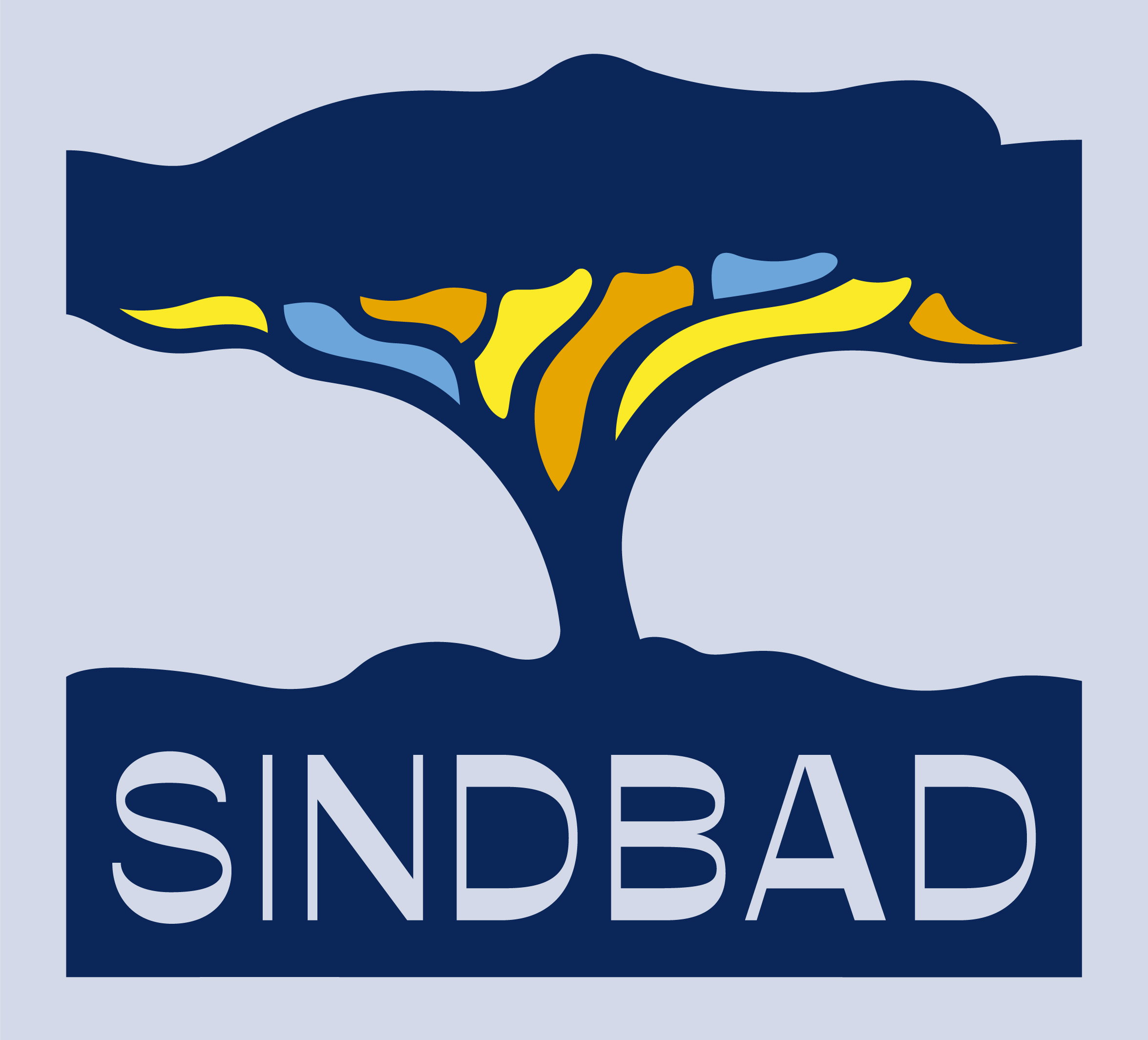 Sindbad Social Business